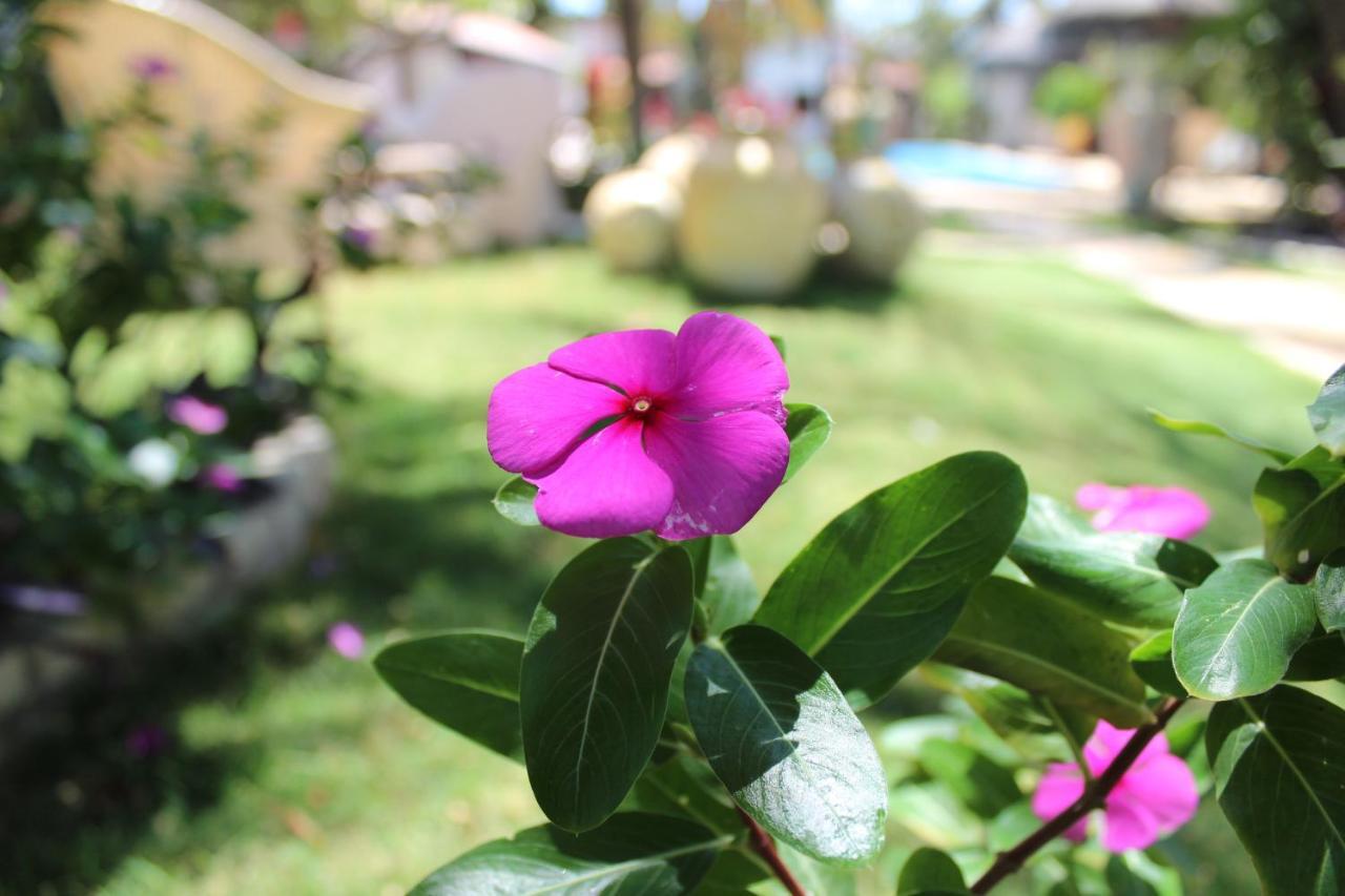Hotel e Pousada La Dolce Vita Canoa Quebrada Esterno foto