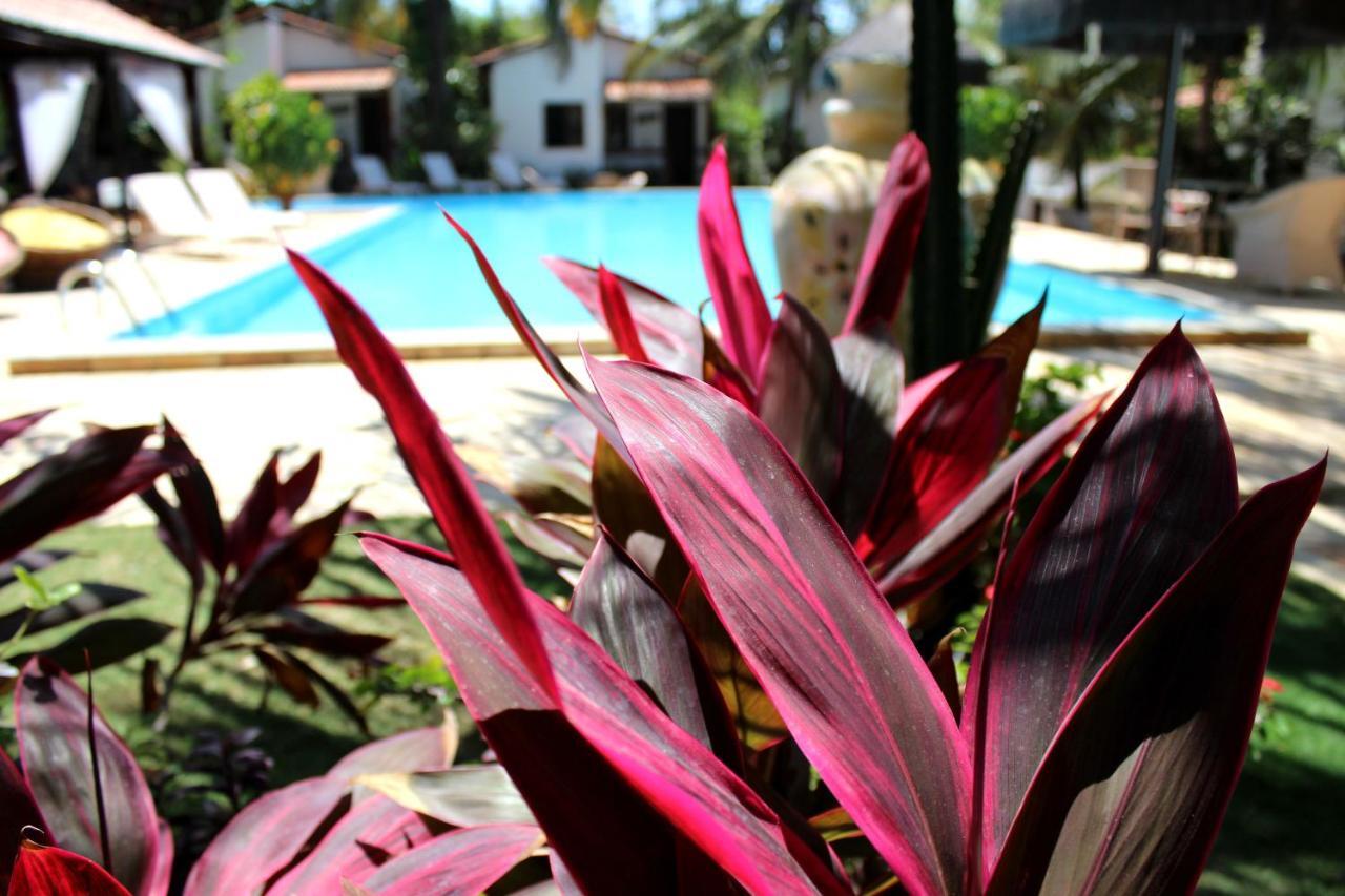 Hotel e Pousada La Dolce Vita Canoa Quebrada Esterno foto